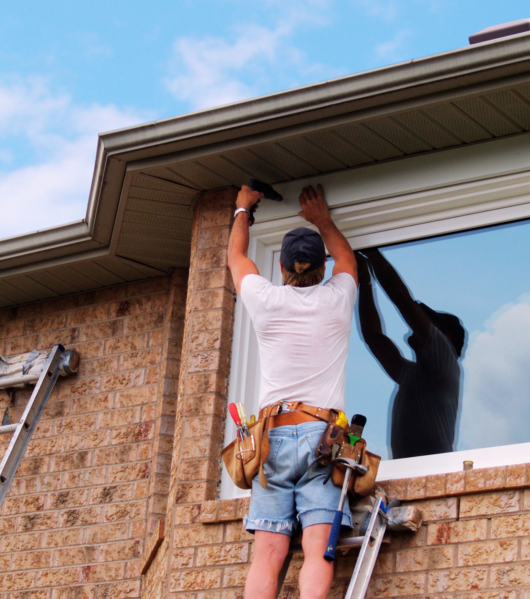 Picture Window Replacement Windows